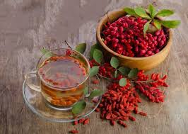 قیمت خرید زرشک مجلسی با فروش عمده